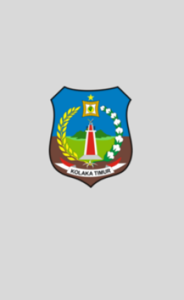 Muhammad Tamiruddin, SE